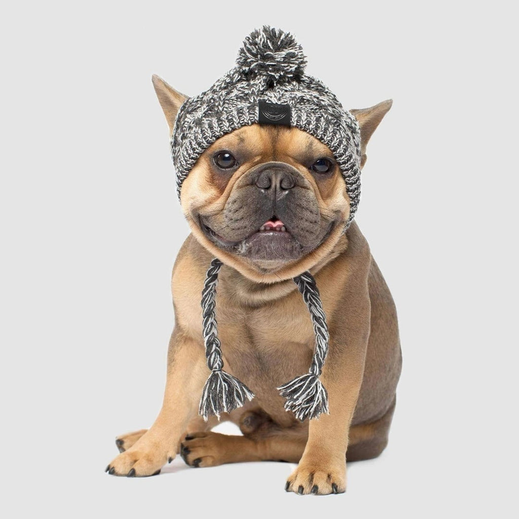 Winter Dog Pom Hat Knitted Warm