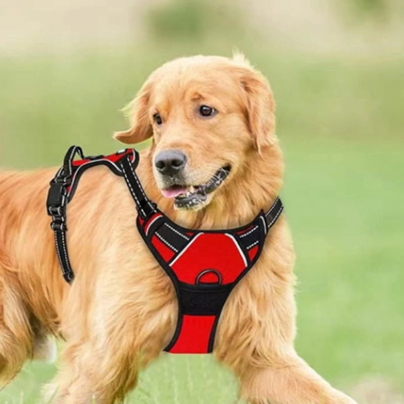 Reflective Breathable Dog Harness Leash Set