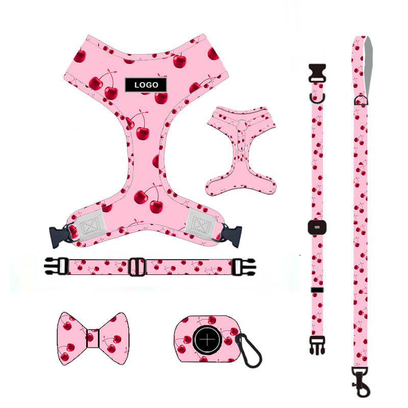 Dog Leash Set for Pets - Complete Supplies