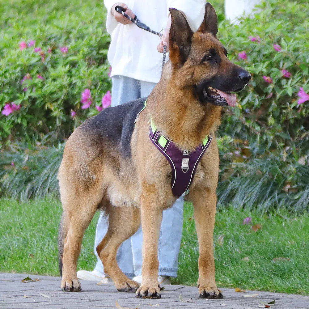 Pet Chest Vest  Strap