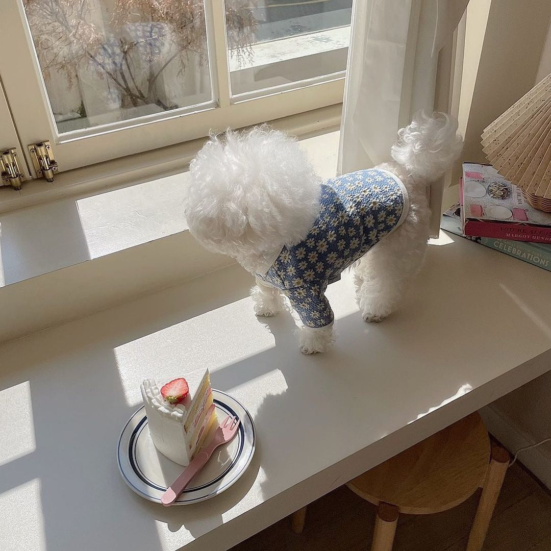 Cute and Simple Printed Clothes for Dogs