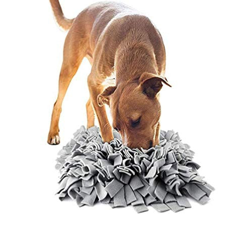 Pet Slow Feeder Puzzle Mat