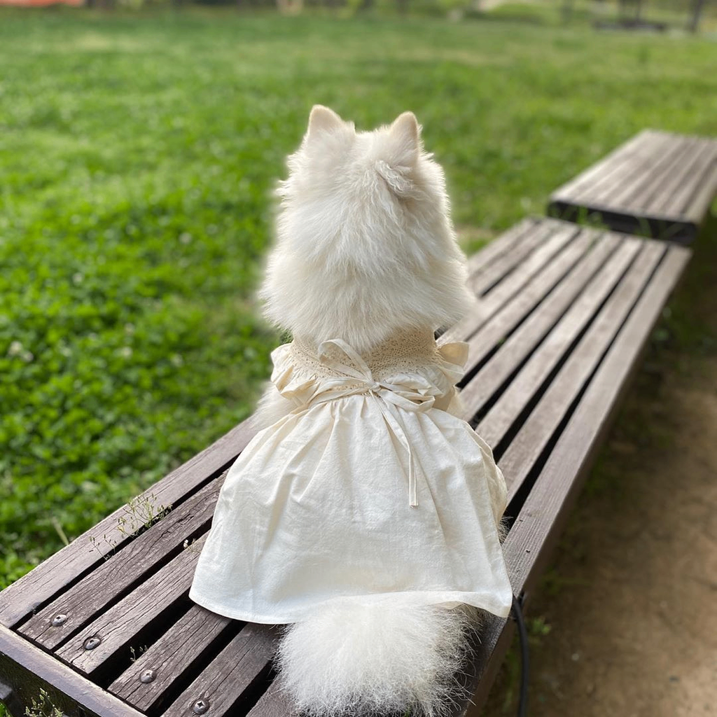 Korean White Sarong Skirt for Dogs