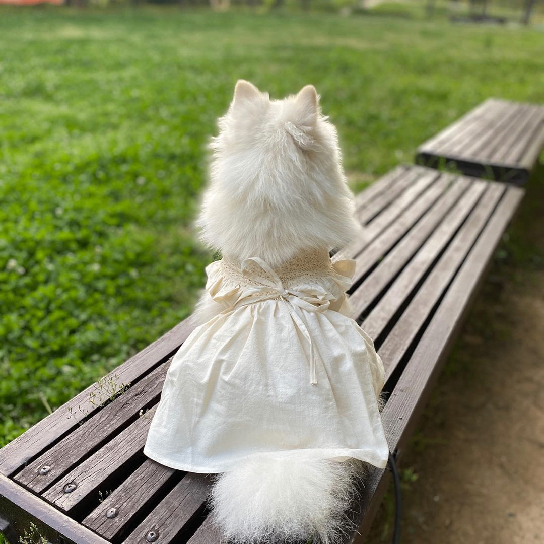 Korean White Sarong Skirt for Dogs