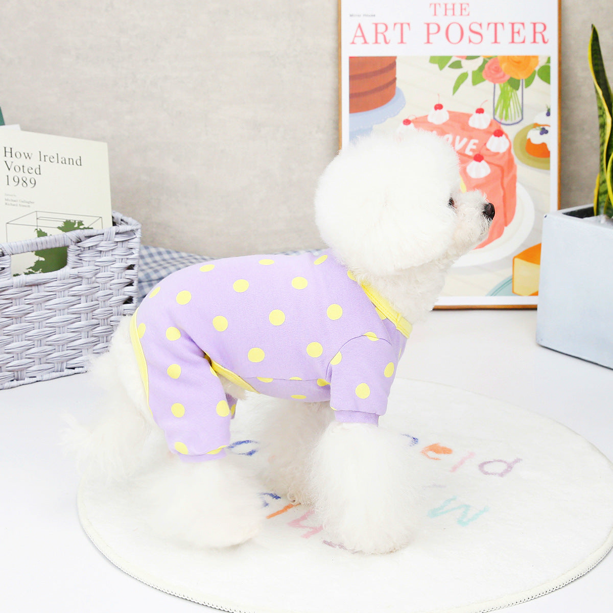 Spring and Summer Pet Clothing for Puppies
