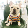 Trendy Stretch Cotton Dog Clothes for Pets