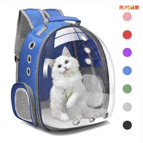 Large Transparent Cat Backpack
