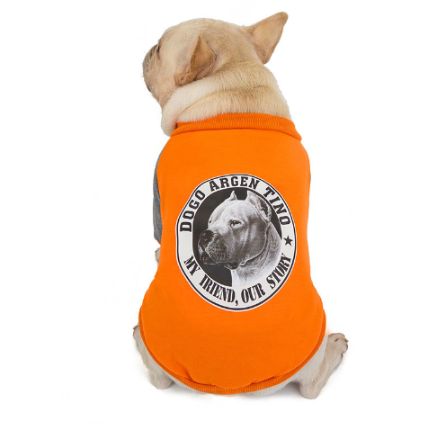 Pug Cashmere Guard for Small and Medium Dogs