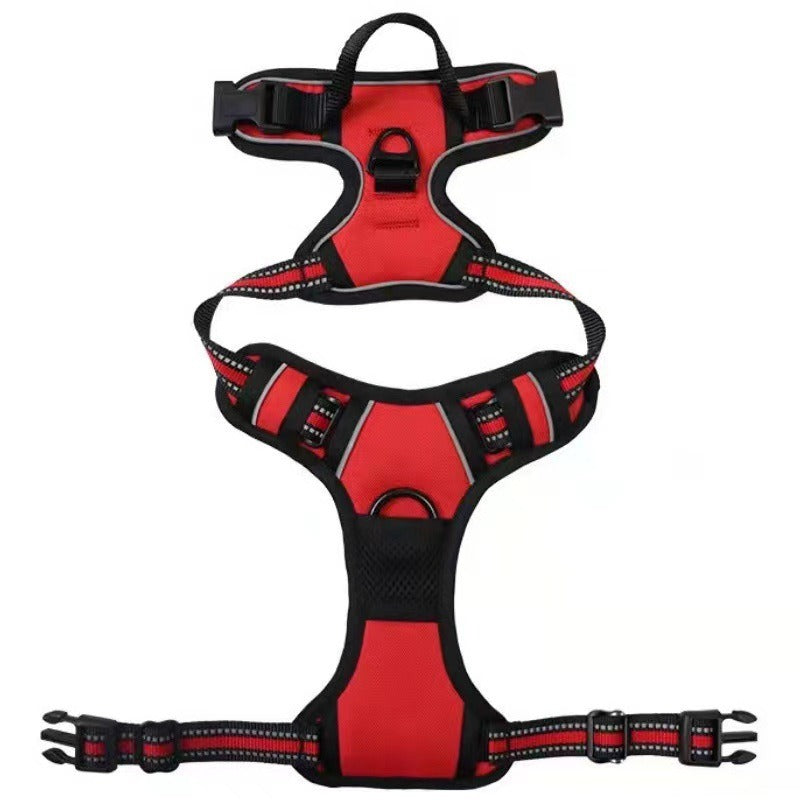 Nylon Dog Harness & Leash Set