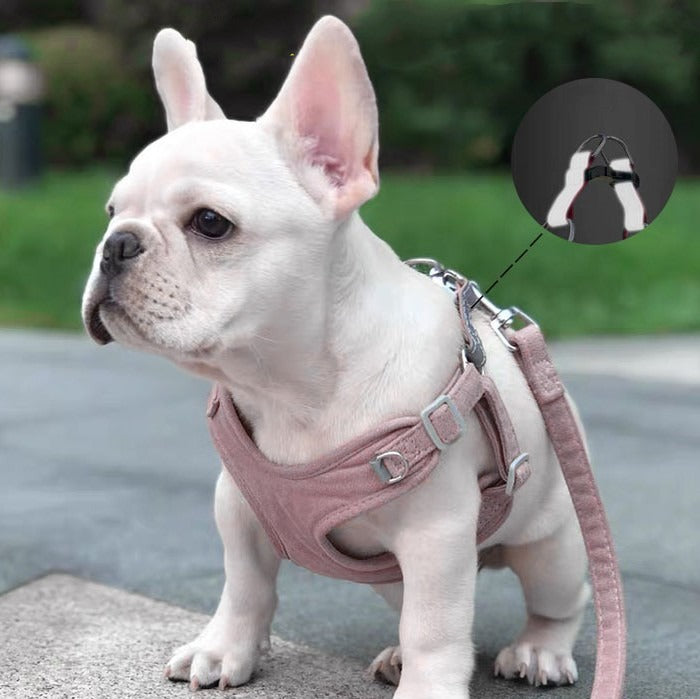 Reflective Dog Harness and Leash Set