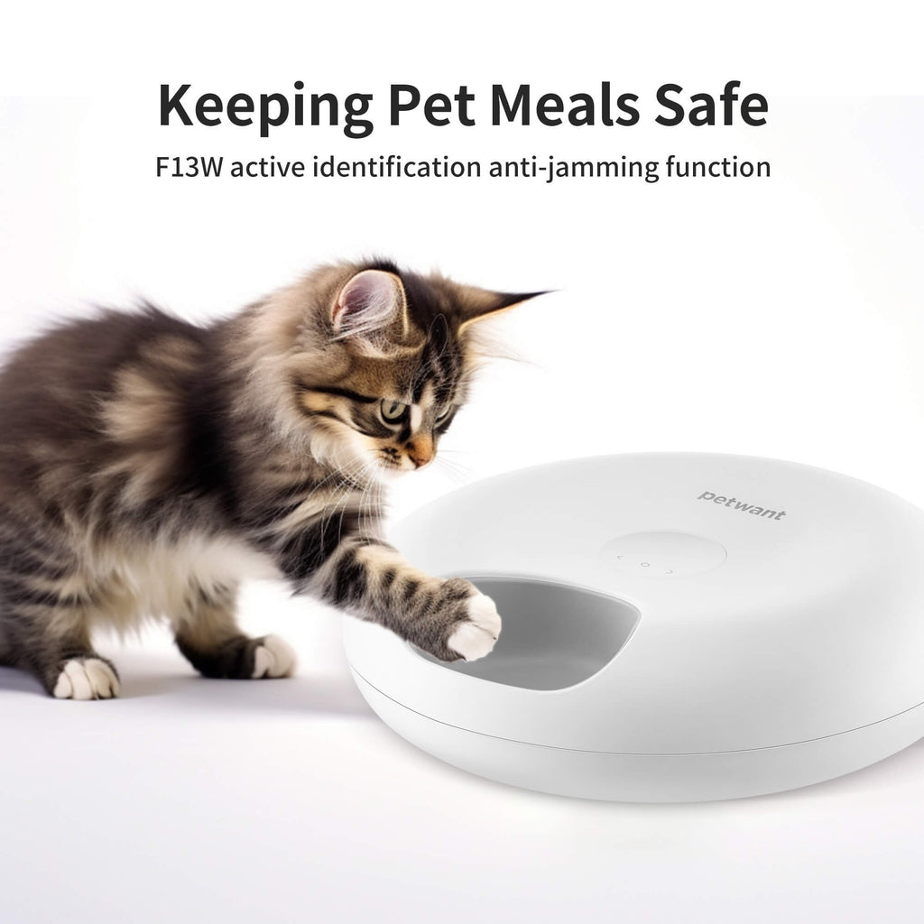 Smart 6-Meal Pet Feeder with App & Ice Packs