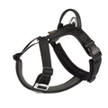 Minimalist Outdoor Dog Harness