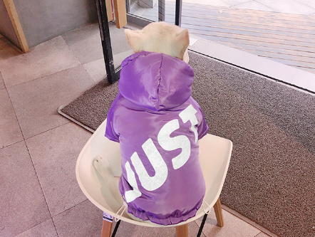 Dog Winter Cotton Clothes for Warmth and Comfort
