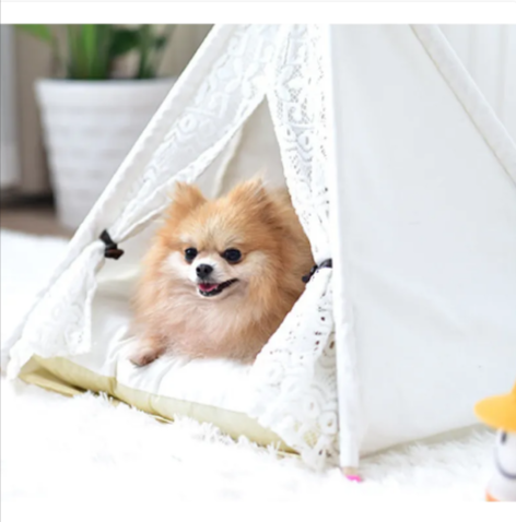 Cozy Tent-Style Cat Bed