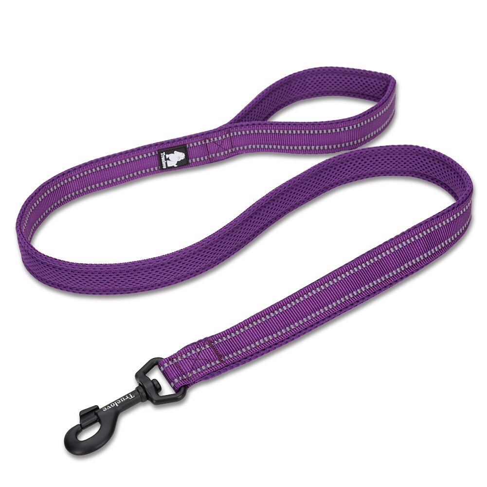 Dog Leash to Prevent Loss and Keep Your Pet Safe