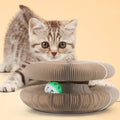 Organ Cat Scratch Board Corrugated Paper