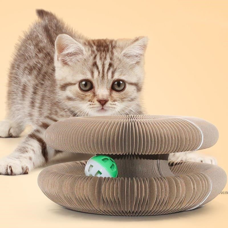 Organ Cat Scratch Board Corrugated Paper