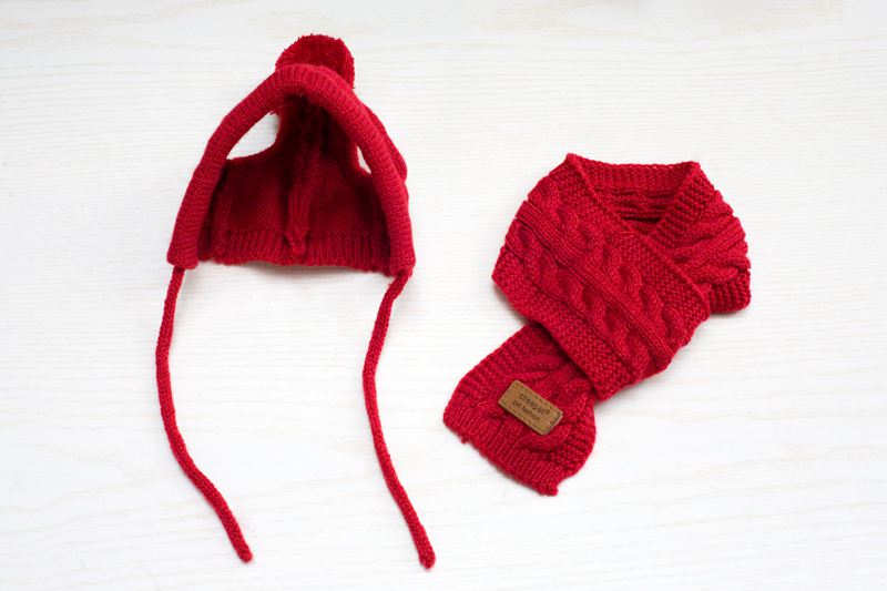 Trendy Pet Apparel Set with Hat and Scarf for Dogs