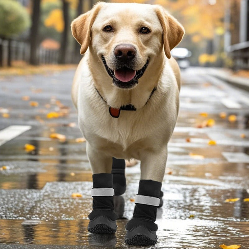 Dog Boots for Medium & Large Dogs