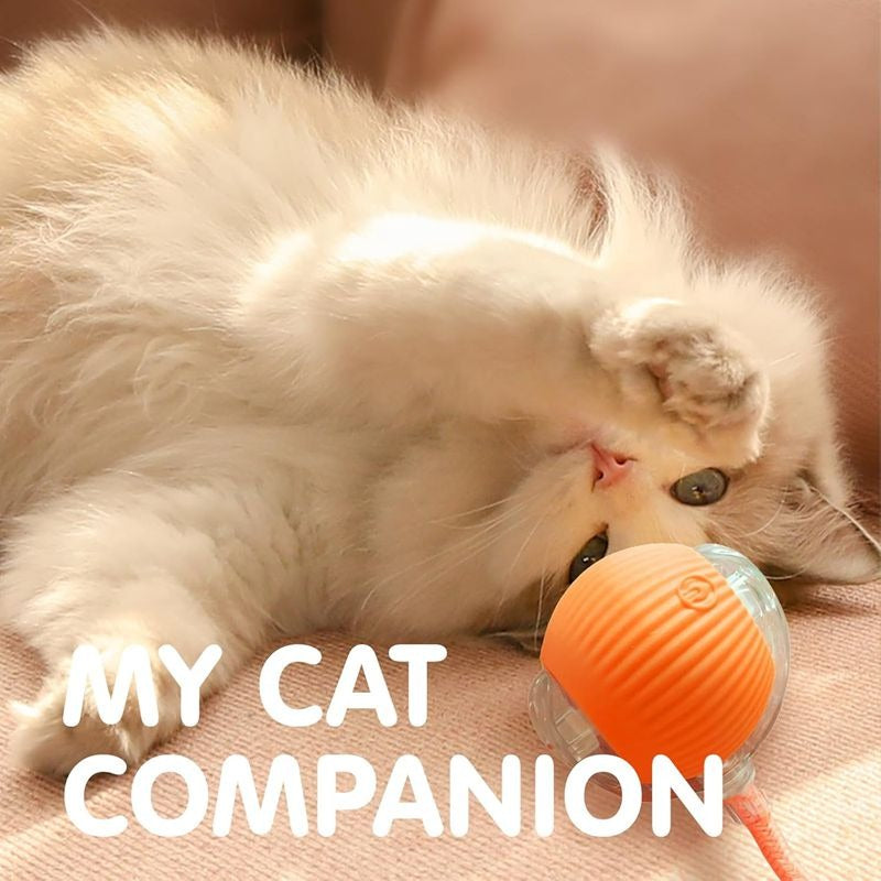 Cat Interactive Rolling Ball Toy