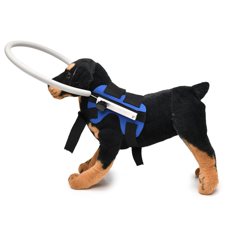 Anti-Collision Ring for Visually Impaired Dogs