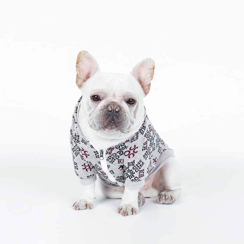 Teddy Dog Print Pattern Pet Clothing