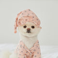 Blue Star Dog Pajama Set for Loungewear