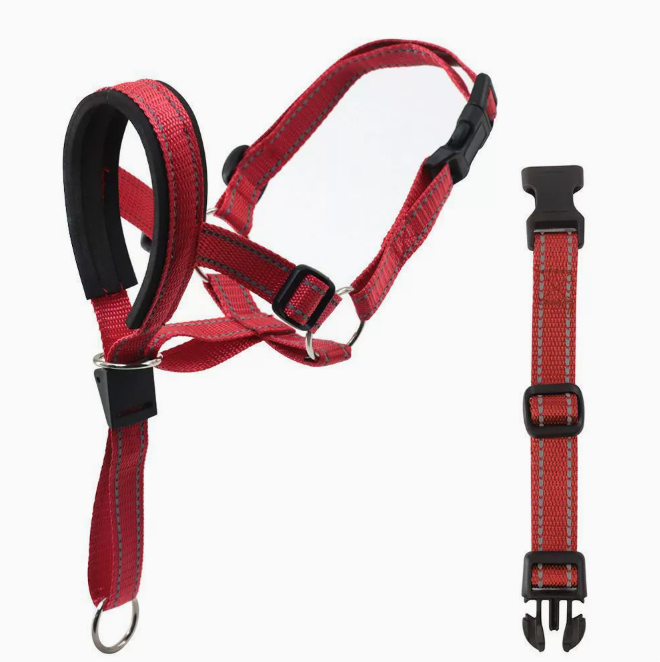 Nylon Dog Head Collar and Leash for Training (One Set)