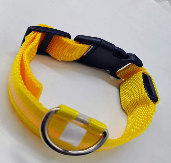 Luminous LED Dog Collar