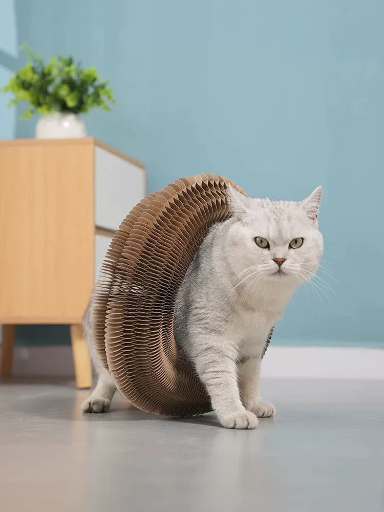 Foldable Cat Scratcher Toy