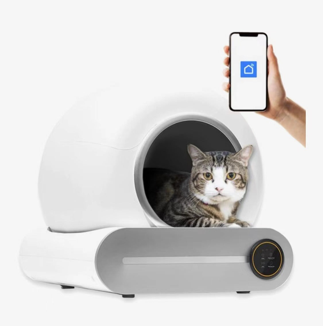Automatic Cat Litter Box