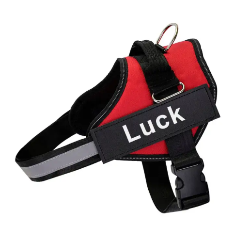 K9 Pet Leash and Harness