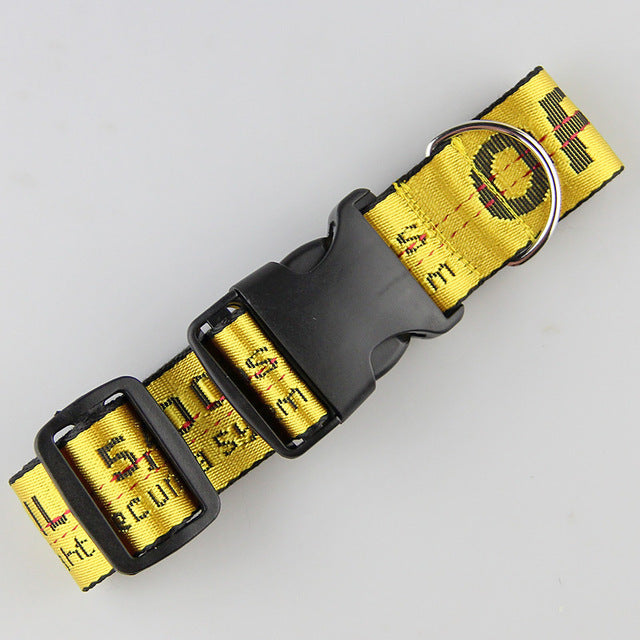 Gold Chain Nylon Dog Collar and Leash Set for Pets