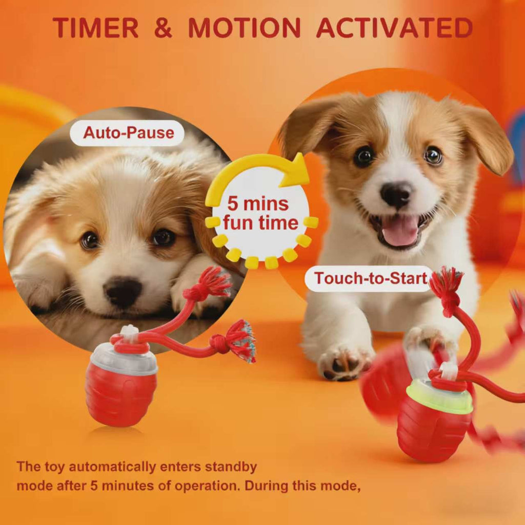 Bite-Resistant Pet Ball