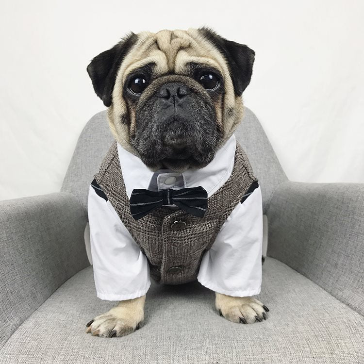 Dog Suit for French Bulldogs - Pet Wedding Attire