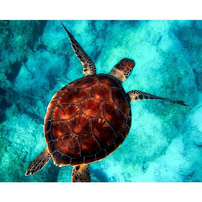 Turtle Diamond Painting Kit