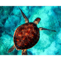 Turtle Diamond Painting Kit
