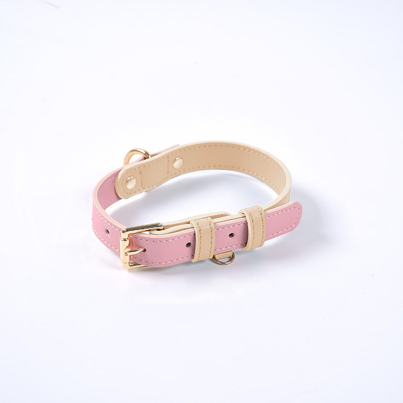Leather Dog Leash & Collar