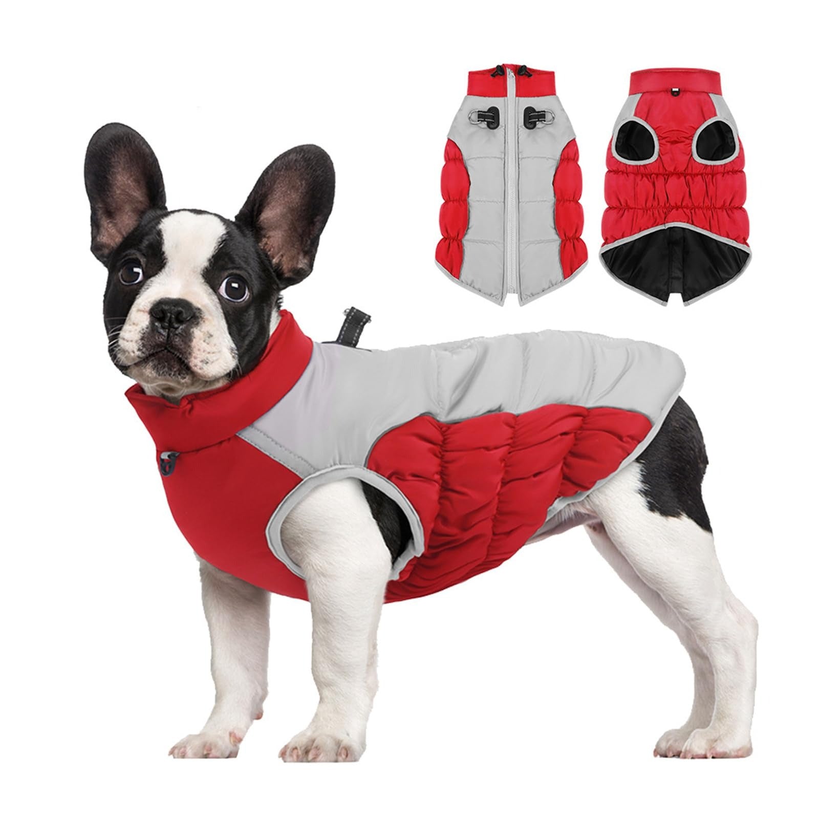 Waterproof Thick Winter Dog Coat