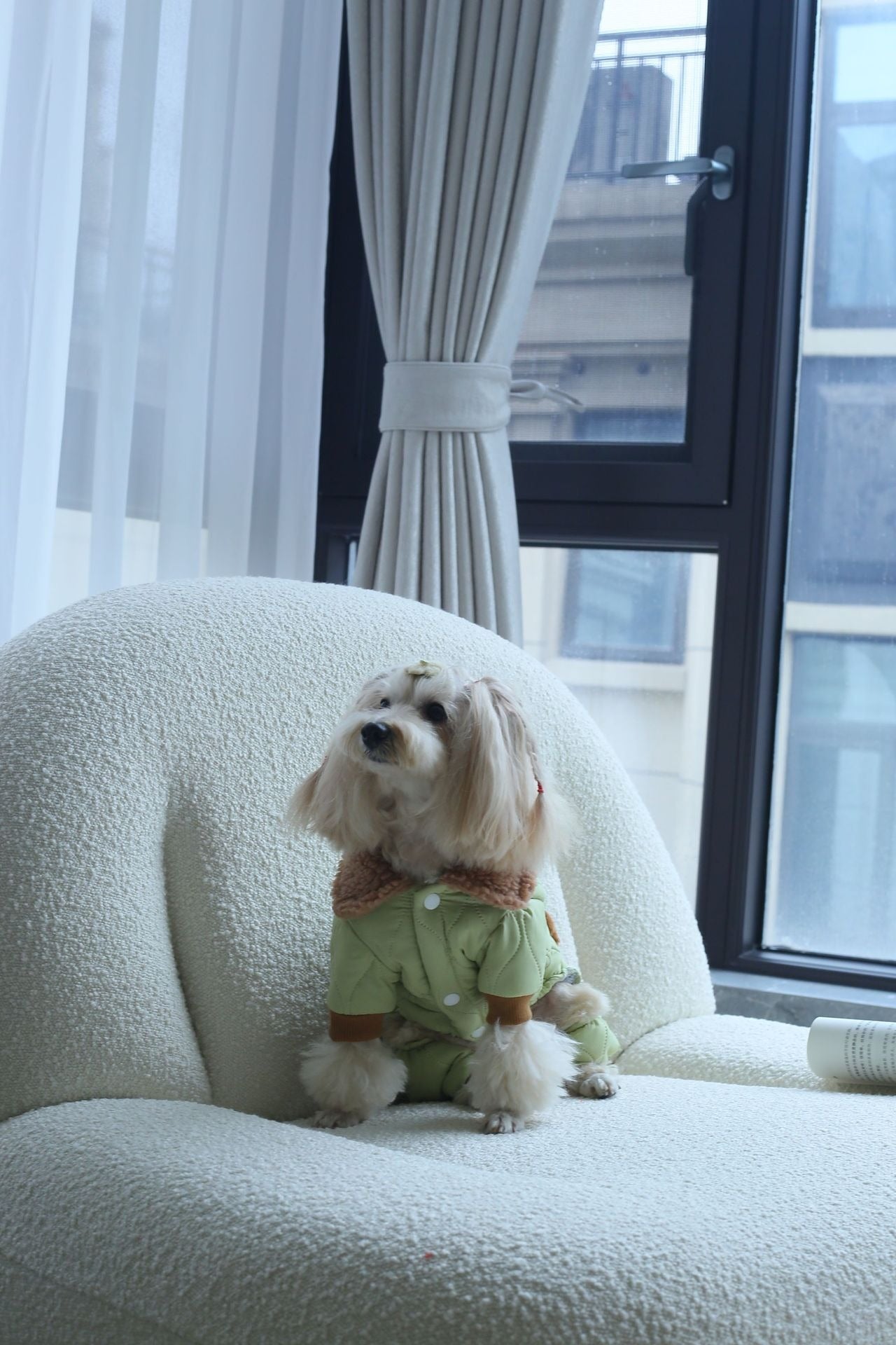 Extra Thick Pet Dog Jacket with Toy Bear Pendant