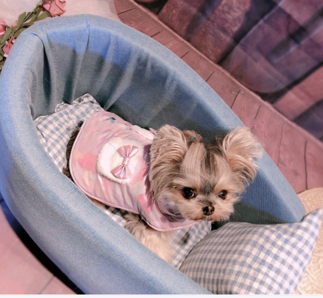 Removable and Washable Car Seat Cushion for Dirt Prevention