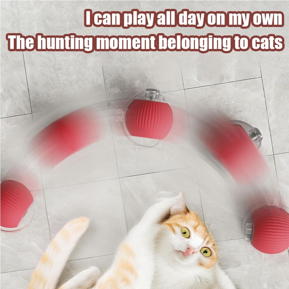 Interactive Rolling Cat Ball Toy