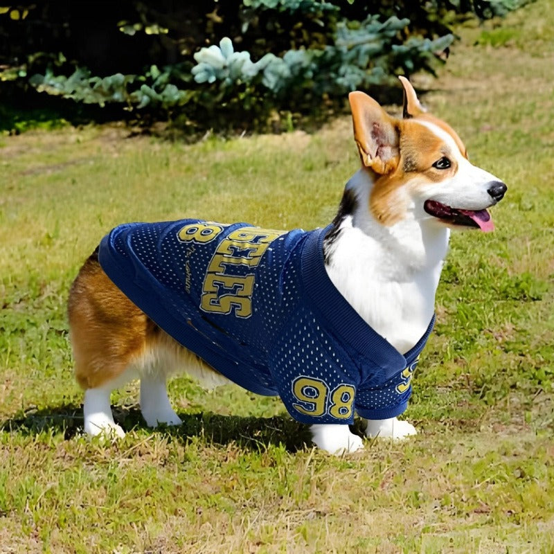 Dog Sun Protection Outdoor Sports Shirt