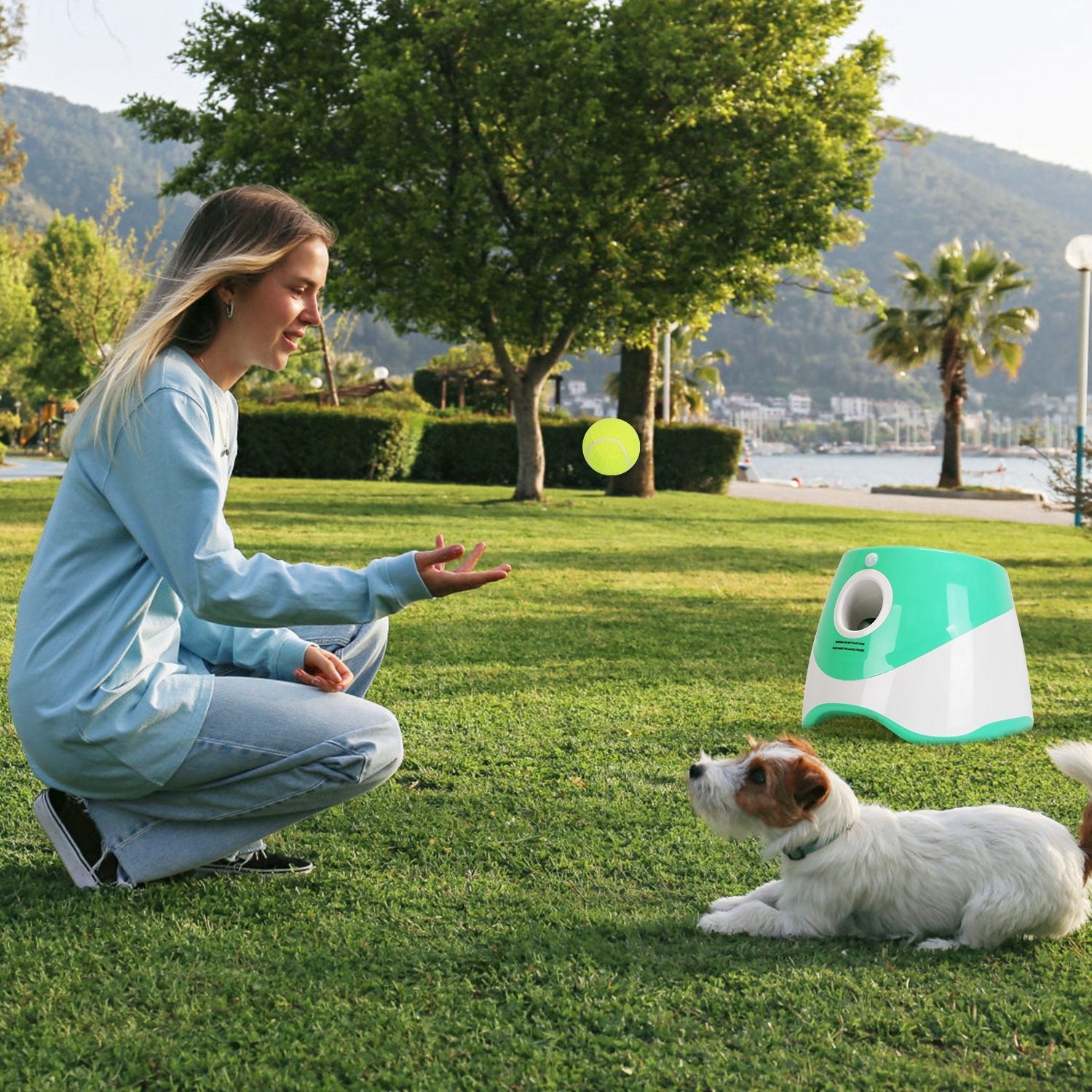 Automatic Dog Ball Launcher with 6 Balls (3 Distance Settings)