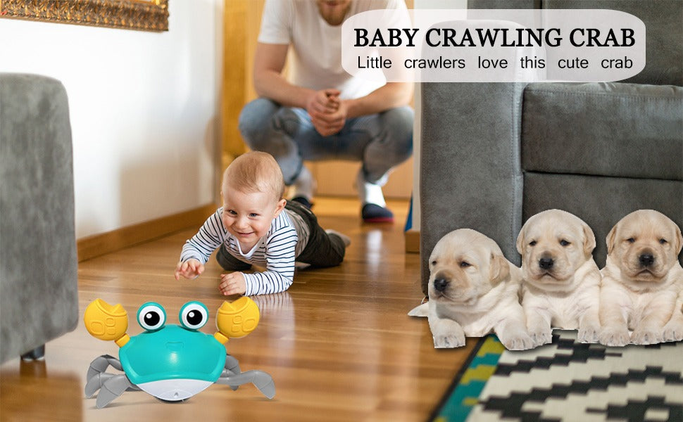 Interactive Crawling Crab Pet Toy