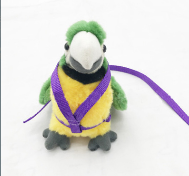 Parrot Leash for Outdoor Walking and Training