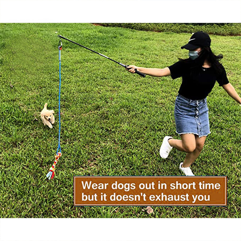 Portable Interactive Pet Training Toy for Outdoor Play