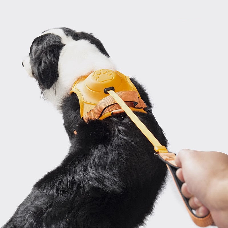 Adjustable Dog Harness with Leash