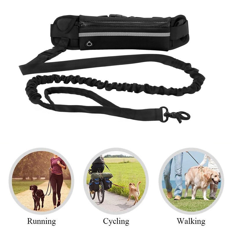 Pet Multi-Pocket Leash
