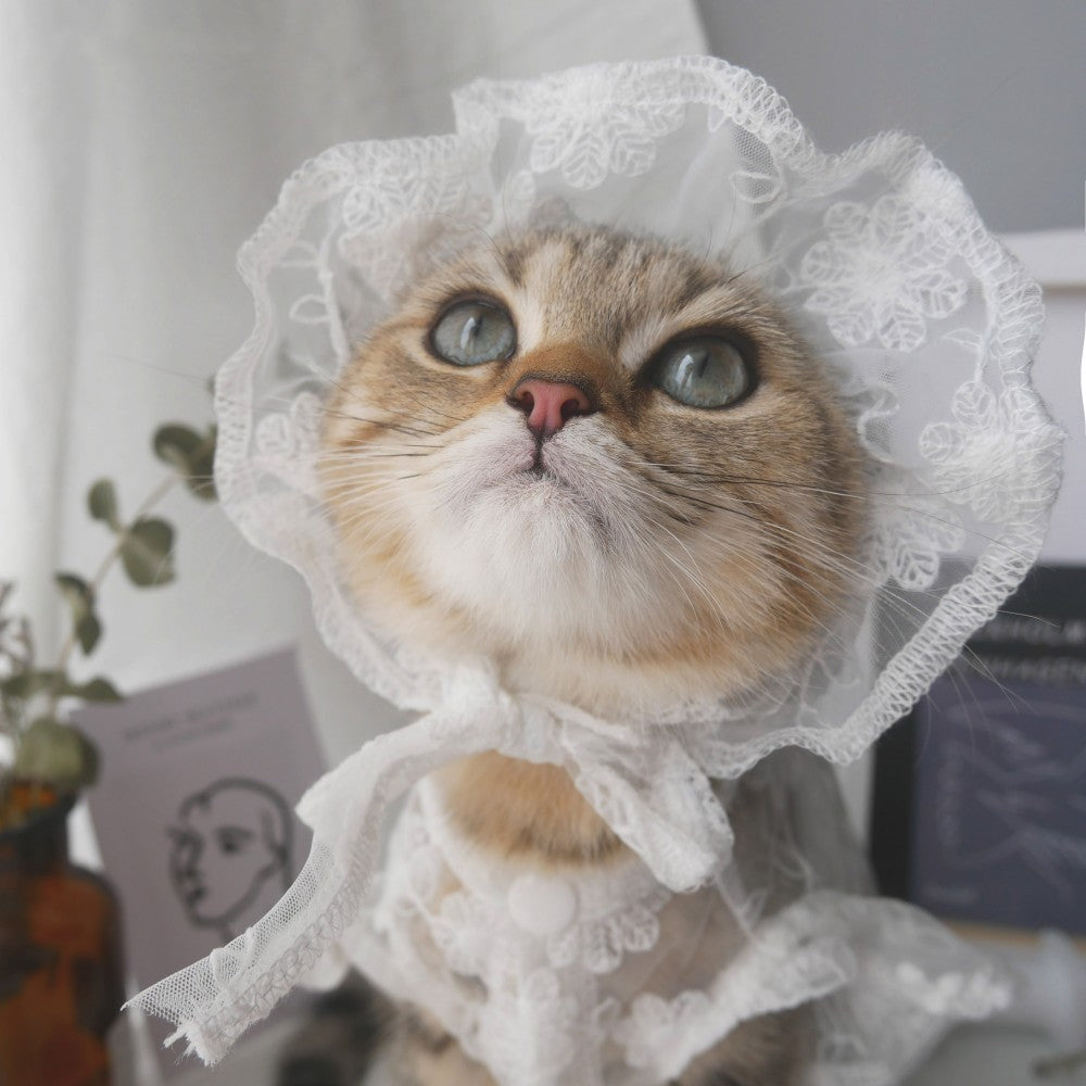 Lace Sunscreen Hat for Cats and Dogs